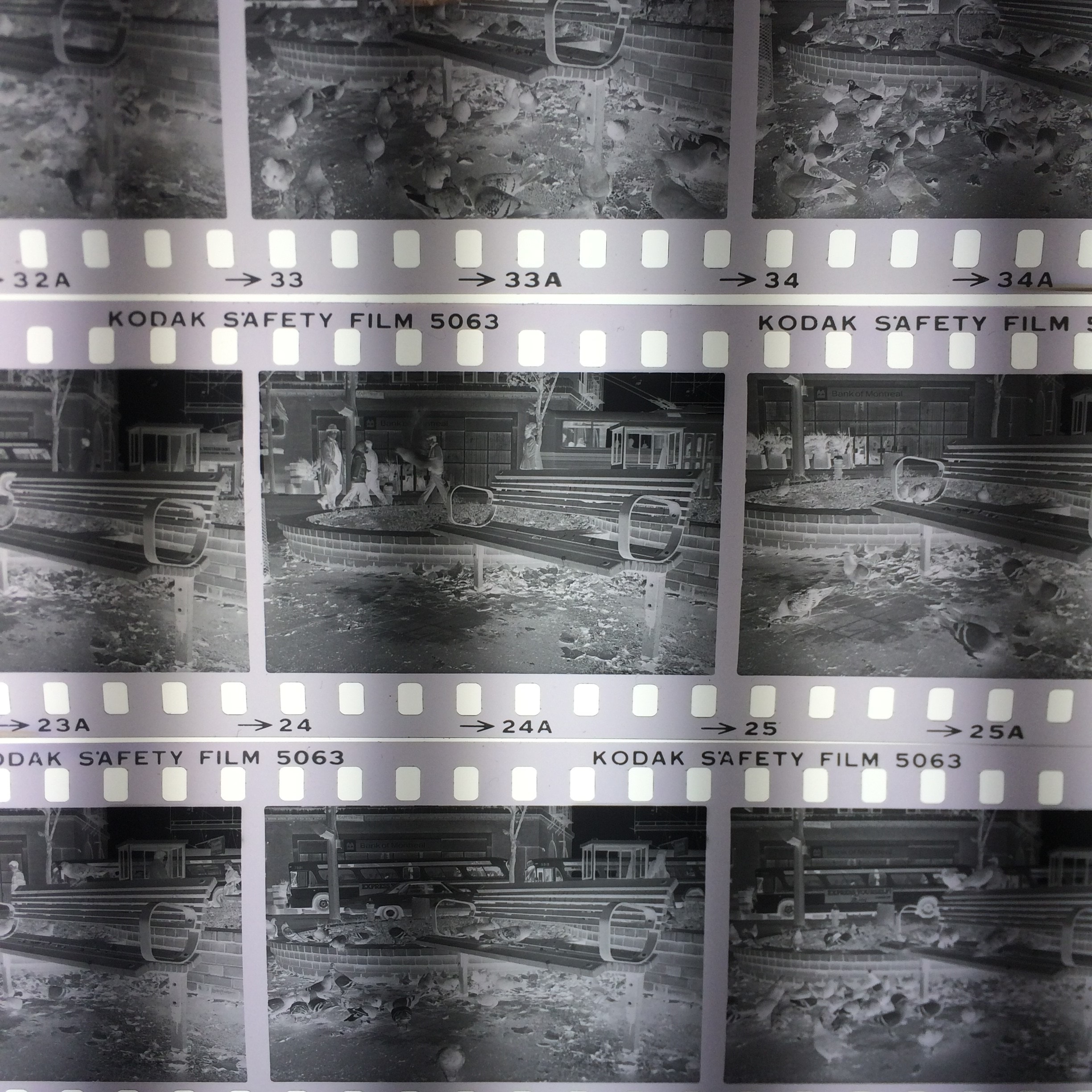 After these acetate 35mm negatives are processed, they will stored in the Archives’ walk in freezer. Photo by Bronwyn Smyth